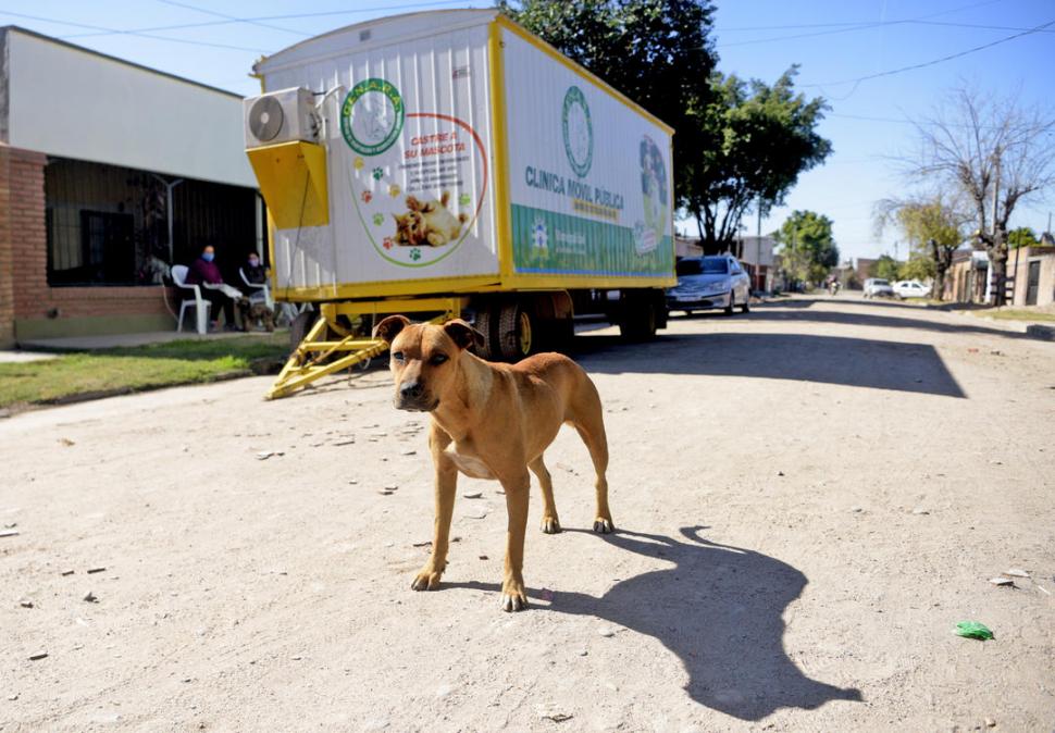 SERVICIO. En avenida Jujuy al 3.000 se instaló el móvil veterinario, que fue muy solicitado por los vecinos.