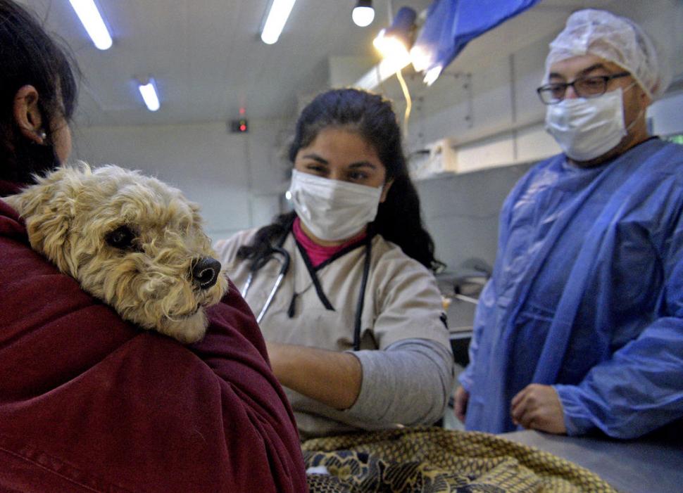 EN RESGUARDO. Las condiciones sanitarios para los humanos y los animales se cuidan de forma adecuada en el operativo.