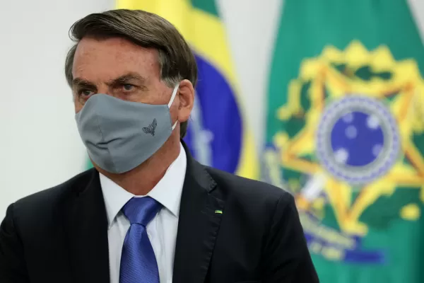 Brasil patenta un suero equino para el tratamiento de la covid-19