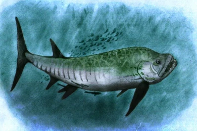 Hace 70 millones de años: así era el “Big Fish” del mar patagónico