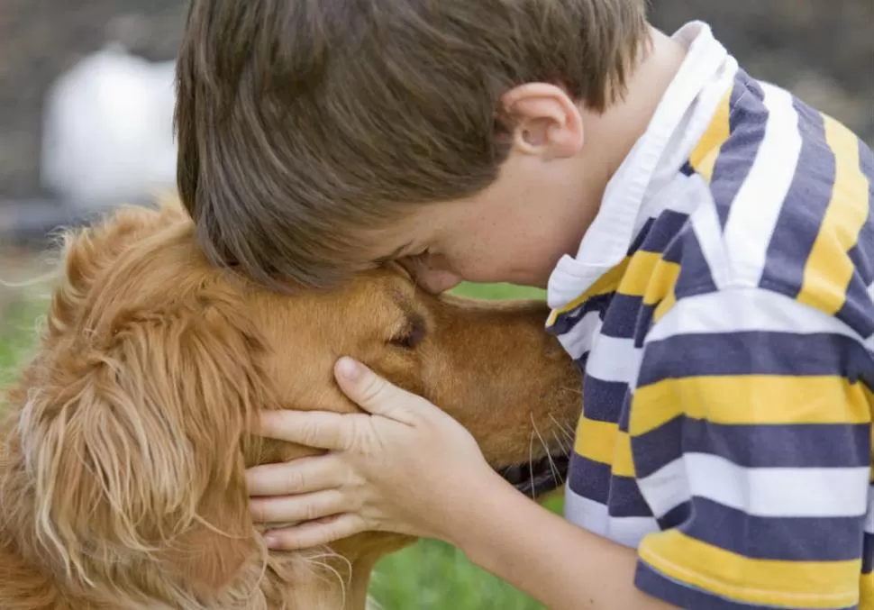 APRENDIZAJE. Con sus mascotas los chicos aprenden a ser más sociables y más considerados con los demás. 