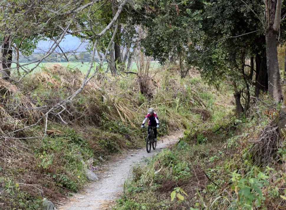 ENTORNO. Una ciclista inicia su recorrido por el sendero del arroyo Las Piedritas, el permitido para pedalear. la gaceta / Foto de José Nuno