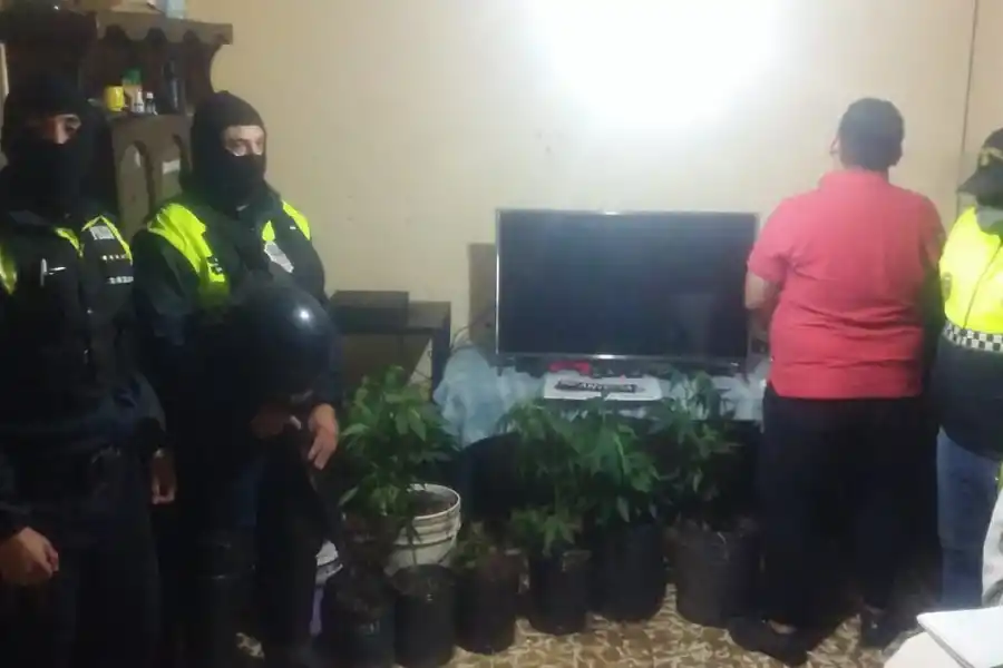 Marihuana, armas, motos robadas y 50 aprehendidos, el resultado de los últimos procedimientos