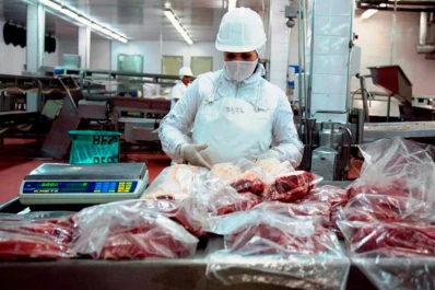 Carne vacuna: se vendió casi el 95% de la “Cuota Hilton”
