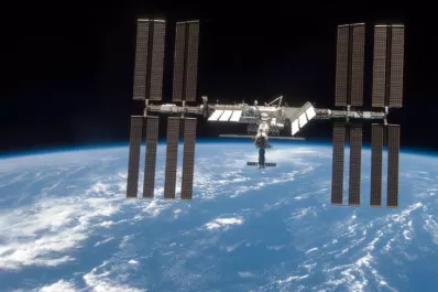 Tecnología para la salud: cultivaron células madre en el espacio