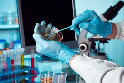 La Nación invertirá $ 745 millones para la ciencia, aplicada al coronavirus