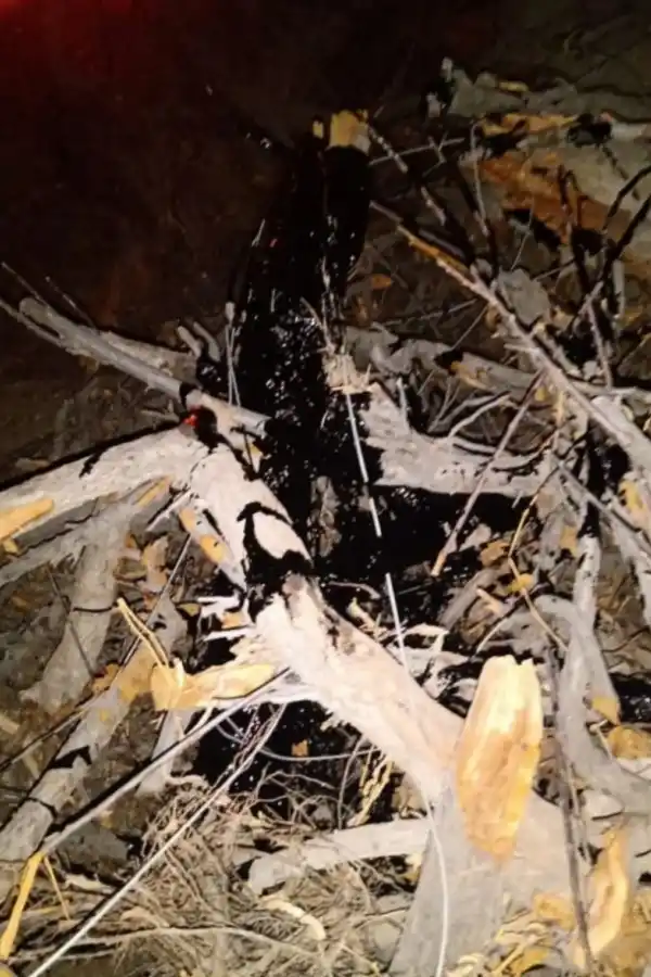 Se incendió una finca del gobernador Manzur en San Juan y advierten que fue intencional