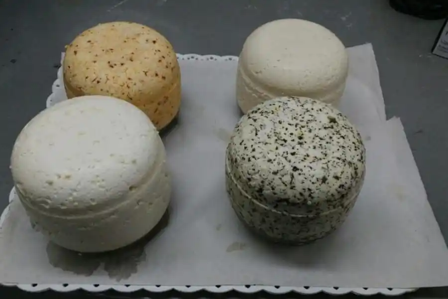 EXQUISITECES. Además de quesos como estos, están enriqueciendo con yacón yogures y una golosina. 