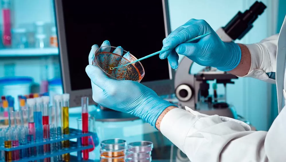 La Nación invertirá $ 745 millones para la ciencia, aplicada al coronavirus