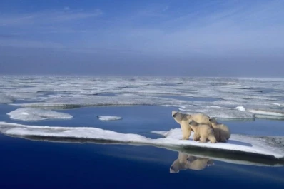 En el Ártico: el casquete polar se ha reducido a la mitad en 40 años