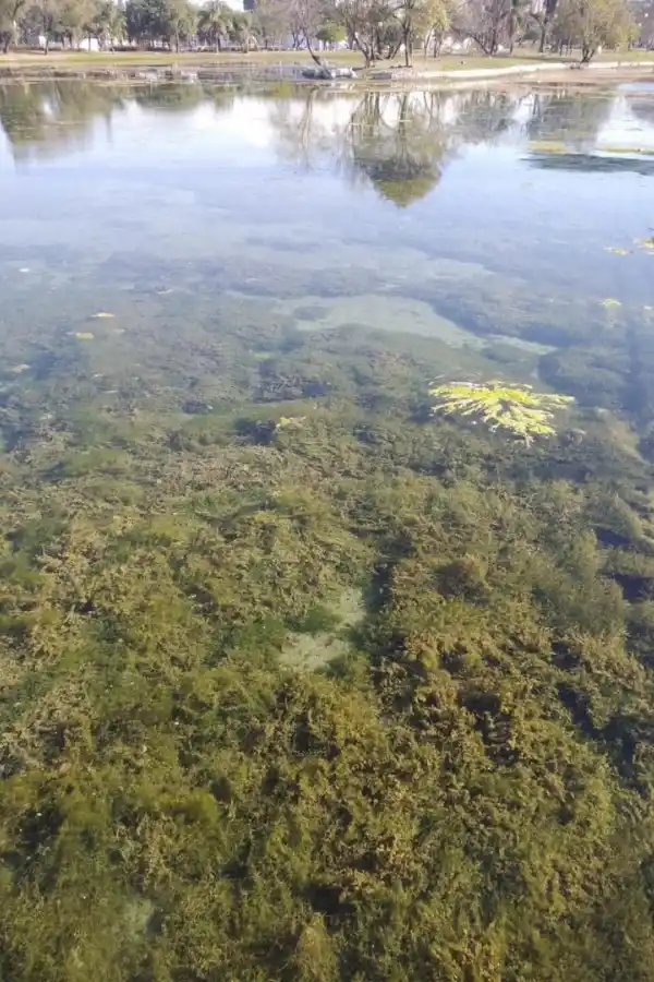 En Las Cejas, usan la ruta para correr “picadas”
