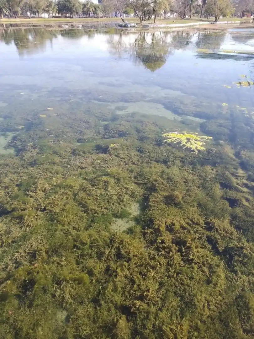 En Las Cejas, usan la ruta para correr “picadas”