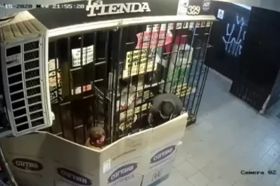 Tapándose con una caja de cartón, quisieron robar en un local de pleno centro