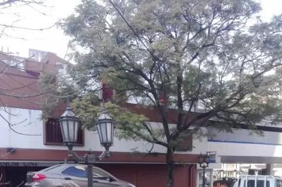 Se llevan los autos estacionados en puertas de garaje