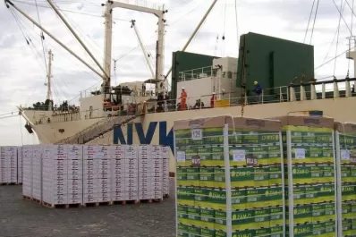 Preocupa el rechazo del limón tucumano en la UE