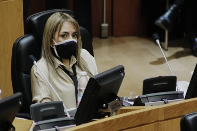 El bussismo apunta a eliminar el protocolo de Interrupción Legal del Embarazo