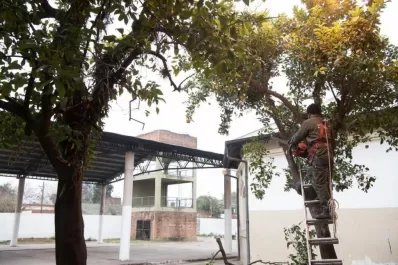En imágenes: la puesta a punto de las escuelas para el retorno a las clases presenciales