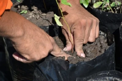 Construirán una planta industrial de compostaje en Tafí Viejo