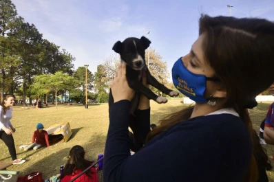 Radiografía del amante de los perros, ¿con cuál te identificás?
