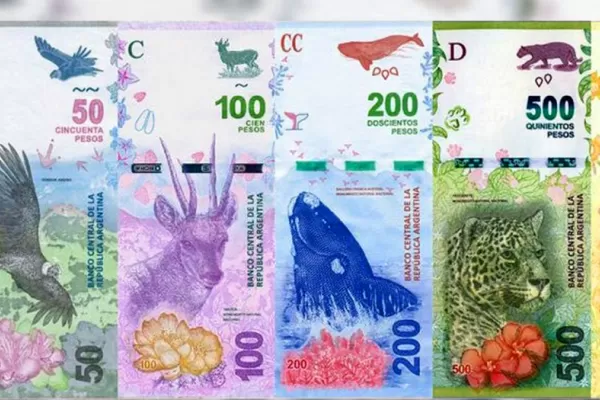 El director del Banco Nación propuso crear una moneda que no sea convertible al dólar