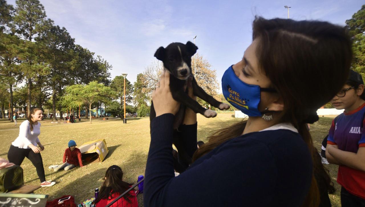 RESCATISTAS. La agrupación Garrapatitas recupera alrededor de medio centenar de perros abandonados en Concepción.