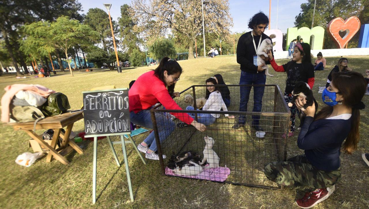 RESCATISTAS. La agrupación Garrapatitas recupera alrededor de medio centenar de perros abandonados en Concepción.