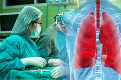 Trasplantes: con un cerdo salvan pulmones que habían descartado