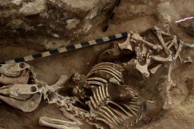 El hombre montaba caballos hace más de 3.600 años, según un hallazgo reciente