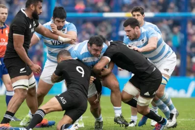 Los Pumas verán acción en noviembre