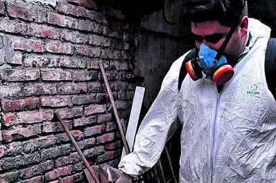 Villa Alem: descacharreo y fumigación contra el dengue