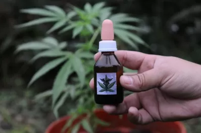 Cannabis medicinal: qué ventajas traerá la nueva reglamentación