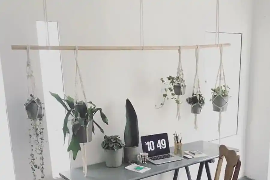  La arquitecta Agostina Sacco (Multiestudio) incorpora plantas al espacio de trabajo, como parte del confort visual. “La menor cantidad de objetos, todos funcionales. Siempre un mix de artículos: nuevos que siguen la tendencia. Antiguos con valor sentimental y reciclados para no contaminar el planeta. Porque equilibrio es belleza. Un espacio en armonía no solo es estético, sino también ético y sostenible”, recomienda.