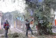 Ya hay claves para imaginar el regreso a las aulas en Tucumán