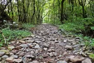 Mañana será un día espléndido para reestrenar los senderos del Parque Sierras de San Javier