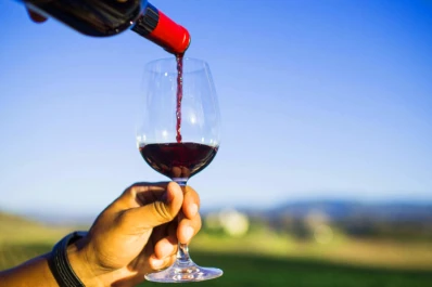 Por quinto año en línea cae la facturación, pese a que crece la venta de vinos, según bodegueros