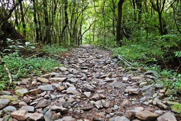 Mañana será un día espléndido para reestrenar los senderos del Parque Sierras de San Javier