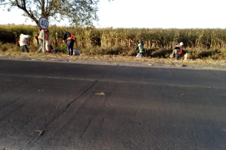Tras la queja de los ruralistas empezaron a limpiar la basura al costado de la ruta