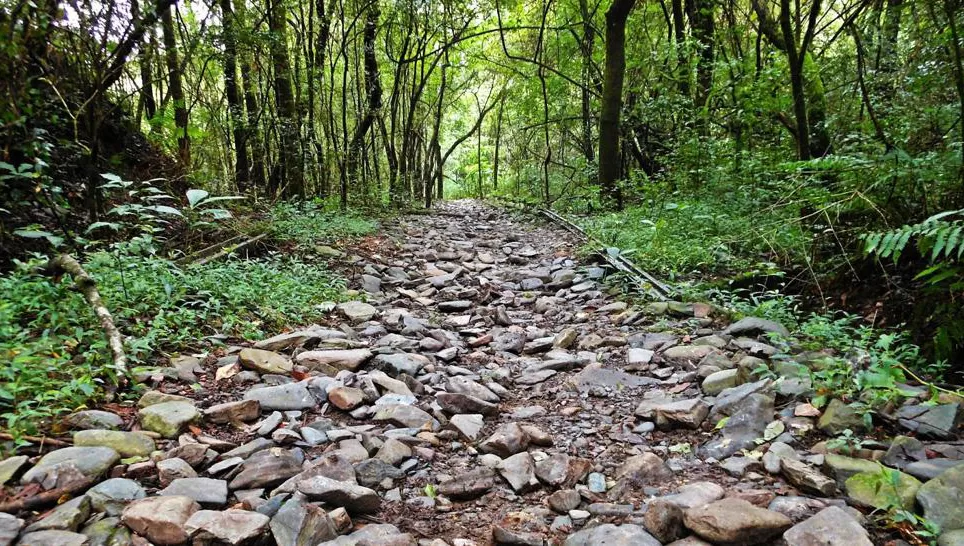 REAPERTURA. Desde las 10 y hasta las 17 de mañana se podrá volve a hace trekking por los senderos del Parque Sierras de San Javier.