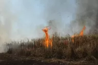La danza de la lluvia