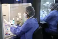 Hay casos de coronavirus en 14 de los 17 departamentos, advirtió el decano de Medicina