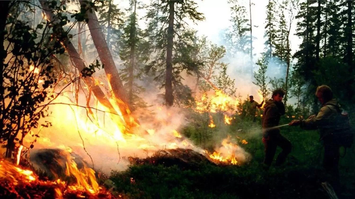 Clima: incendios y deshielo por ola de calor en Siberia