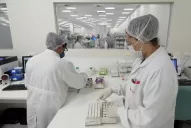 El virus crece en Brasil, que cancela carnavales