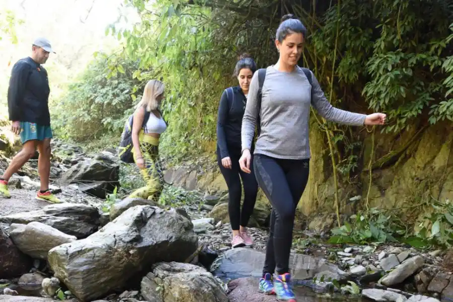  la gaceta / fotos de jose nuno 