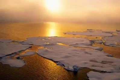 ONU: menos de la mitad de los Estados presentaron sus compromisos climáticos