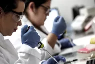 Coronavirus: ninguna de las vacunas más avanzadas garantizan seguridad