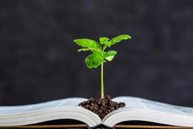 Educación: la Unesco pide cambios