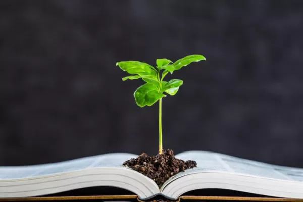 Educación: la Unesco pide cambios