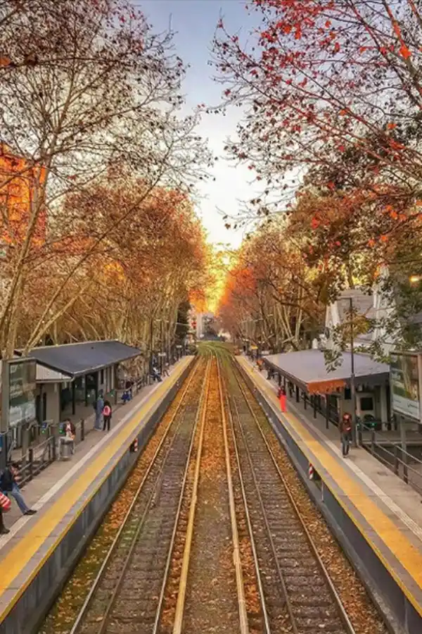 @PALERMEANDO. La cuenta comenzó mostrando escenas y paisajes típicos del barrio de Palermo, pero cuando esa zona le quedó chica a su autor, salió a recorrer otros barrios. Durante la pandemia multiplicó sus seguidores, quizás por la nostalgia de las personas aisladas en su casa.