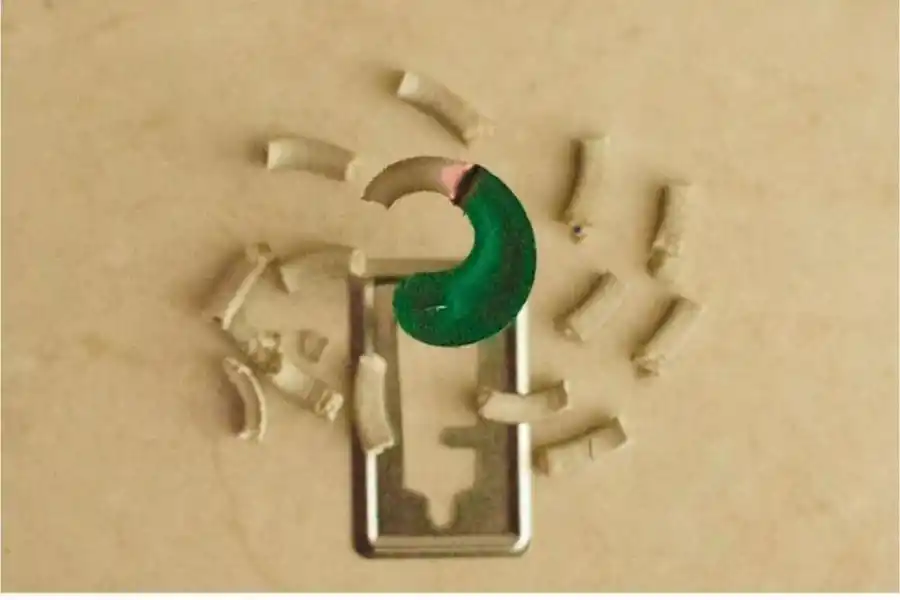 SEBASTIÁN MORELLO. Un espiral casi acabado, la lucha contra el dengue.