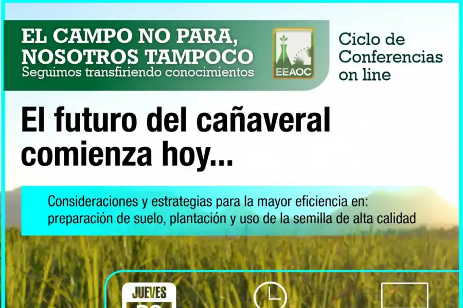 El futuro del cañaveral hoy: conferencia on line de la Estación Experimental